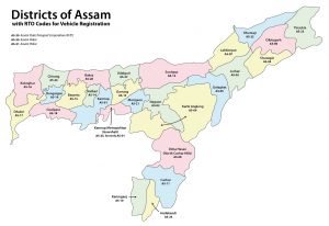 Assam Board District Wise Results